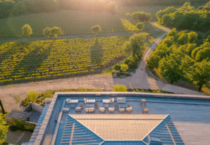 Aerial view of the rooftop terrace and vineyards at sunset