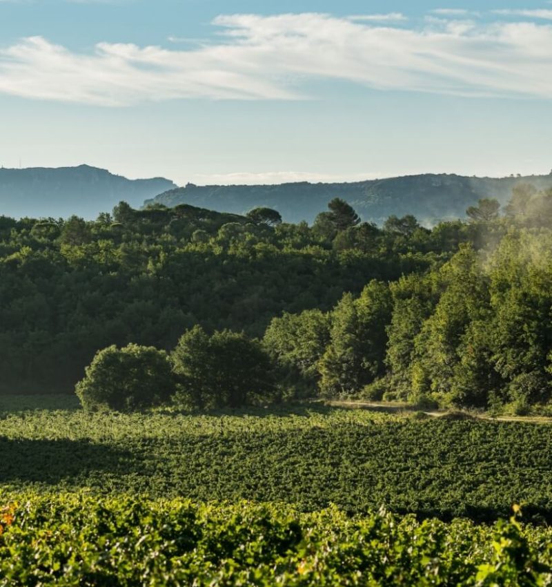 decouvrez-blacailloux-provence-verte